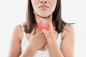 УЗИ щитовидной железы: подготовка, норма